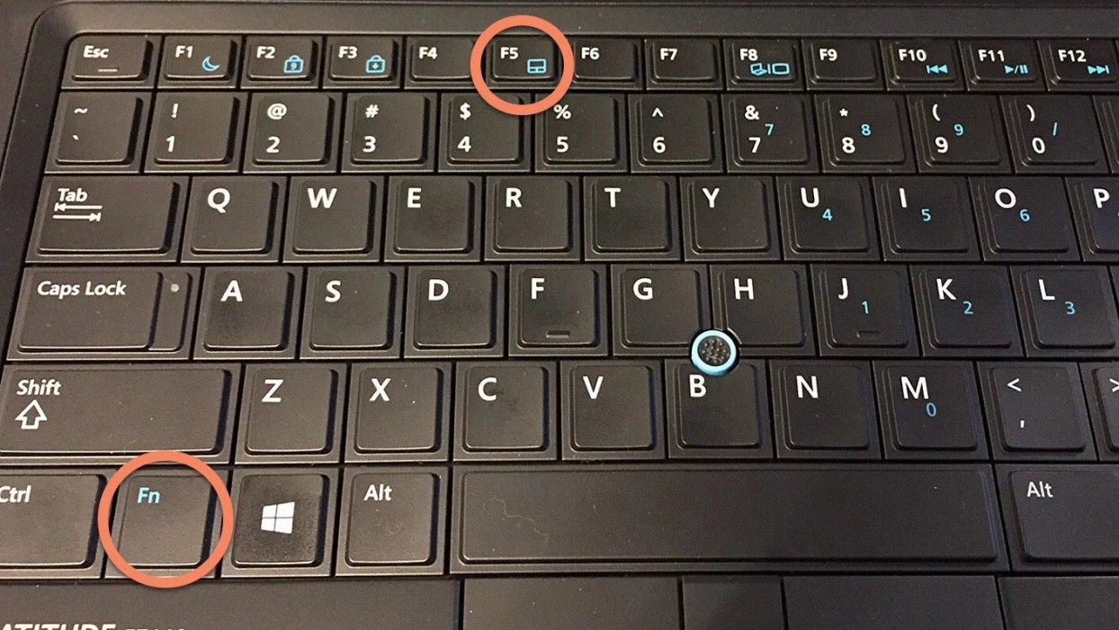 Tại sao chuột laptop không di chuyển được ? Cách sửa ra sao?